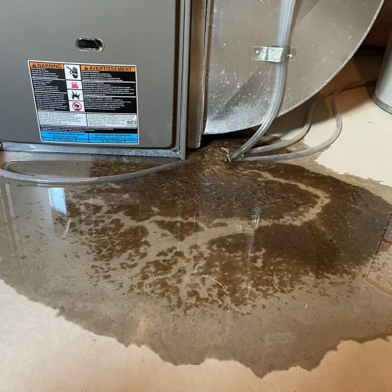 Appliance Leak Cleanup in Stevenson, AL